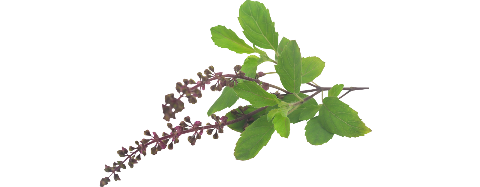 Návrh bez názvu - 2024-05-16T095842.282